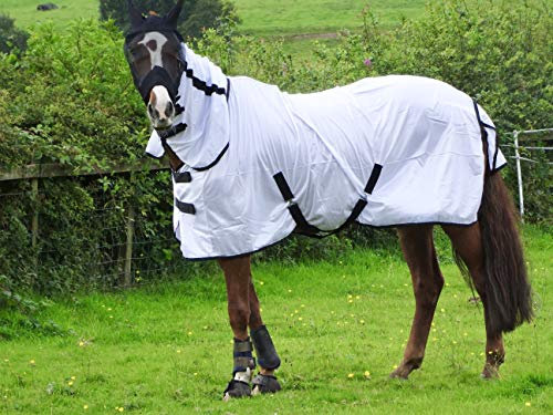 Turner Cool White Fly Rug for Horse/Pony/Shetland - Lightweight Full Neck Combo - 6'9