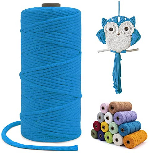 LEREATI Macrame Cord 3mm x 100m, Single Strand Thick Macrame Rope Yarn Natural Cotton Cord, Craft Macrame String for Plant Hanger, Wall Hanging, Knitting, DIY, Home Decorations (Lake Blue)