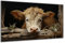 DARO Design - Wand-Bild auf 6mm HDF 84x56 cm Kuh Kopf Portrait - Wand-Deko Bilder Geschenk