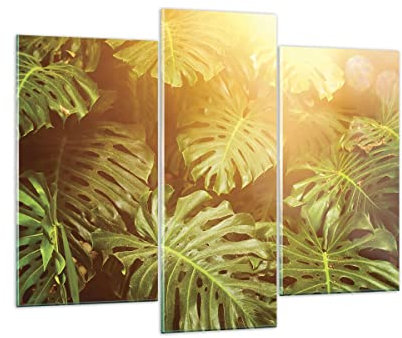 ARTTOR Mehrteilige Bilder auf Glas 130x100cm Glasbild Blätter Monstera Licht Groß Wanddeko Schlafzimmer Küche Set 3 teilige Wandbilder Dekoration Wohnzimmer Modern Wand Kunstdruck Art GCB130x100-4540