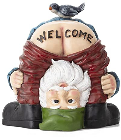 PRELGOSP Gartenzwerg Personalisiert, Harz Gartenzwerge Lustig für Außen, Gartenstatuen für AußEn Rasenschmuck, Innen- Oder AußEndekorationen