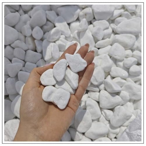 Weiße Kieselsteine 5 kg – Schneeweiße Dekosteine 1–3 cm – Thassos | Für Gartendeko, Wege, Blumentöpfe und Innenbereiche – dekorative Natursteine in schneeweißer Optik