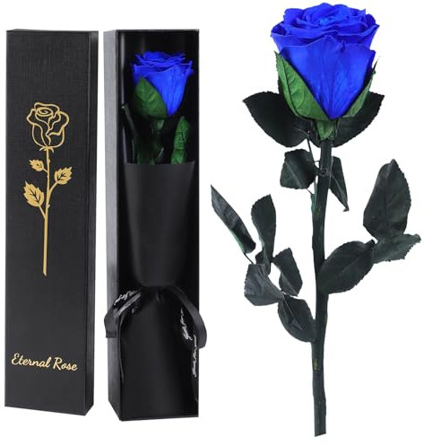 FRFG Vera Rosa Eterna Regalo Donna, Stabilizzata Vera Rosa con Steli Idee Regalo per Anniversario, Mamma, Donna Compleanno, San Valentino per Donne (Blu)