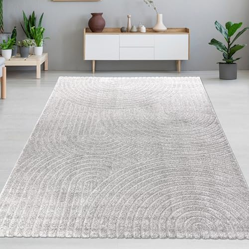 CARPETIA Moderner Hoch-Tief-Teppich Bogenmuster Grau 200x290 cm | Flauschig weich, pflegeleicht, strapazierfähig und hautsympathisch, OEKO-TEX geprüft, für Wohn- & Schlafräume