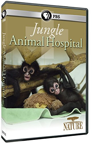 NATURE: Jungle Animal Hospital DVD