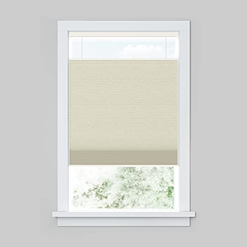 LEVOLOR Top Down Bottom Up Cellular Shade, Light Filtering - Daylight