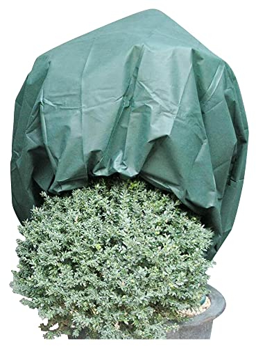 NOOR Wintervlies 1,6 x 5 m I Winterschutz Vlieshaube I Frostschutzhaube für Pflanzen I Winterschutz für Pflanzen Überwinterung I Frostresistenter Pflanzenvlies/Winterschutzvlies I Grün