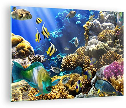 ARTTOR Bilder auf Glas Korallenriff Ozean Krabbe Fisch Glasbild 70x50cm Wandbilder Dekoration Wohnzimmer Schlafzimmer Küche Deko Klein Wanddeko Bild im Glas Wand Kunstdruck Art Modern GAA70x50-2662