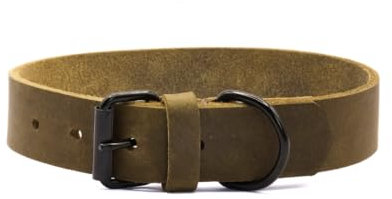 ALMADOG® Hundehalsband Joker - Nachhaltiges Fettleder - Handgefertigt in Deutschland L (45-52,5cm Halsumfang, 3cm breit)