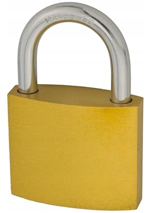 FEINZ Lot de 10 Cadenas 50mm Clé Unique Fonte Robuste | Une seule clé pour tous, idéal portails, garages, coffres, casiers