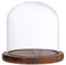 Sharplace Cloche en Verre avec Dôme et Socle en Bois - Brown E