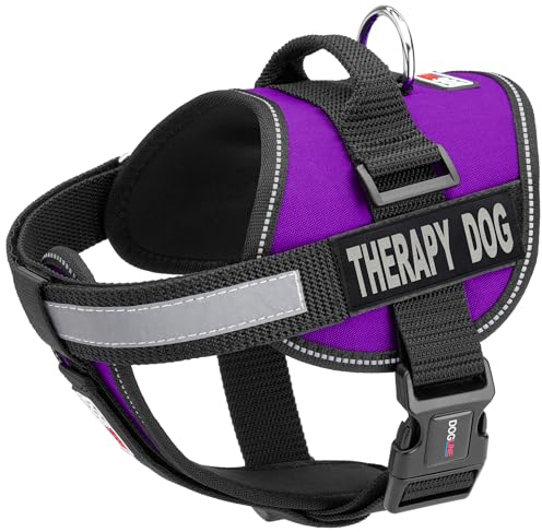 Dogline Hundegeschirr und 2 abnehmbare Therapie-Flicken, Größe M/55,9 cm bis 76,2 cm, Violett