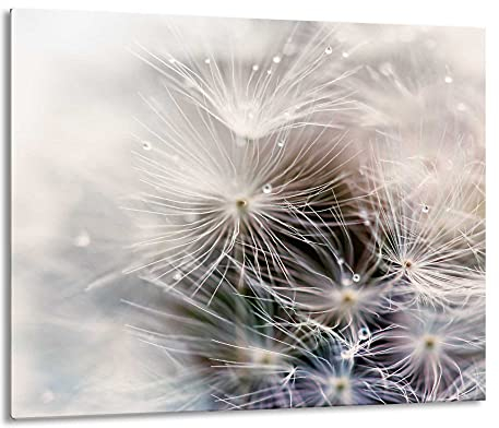 Gsmarkt | Herdabdeckplatte Schneidebrett Spritzschutz 60x52 | Bild auf Glas | Sicherheitsglas Gehärtetes Glas Bild | Motiv Pusteblume