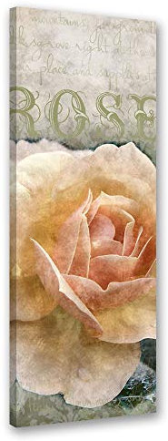 Feeby Leinwandbild Blumen Bild Kunstdruck Rose Beige 25x70 cm