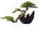 SUNESA Kunstbaum Künstlicher Bonsai-Baum for den Innenbereich, simuliertes Grün, Bonsai-Holz, dekorativer Bonsai mit Harz-Blumentopf for Zuhause, Büro, Schreibtischdekoration Künstliche Pflanzen