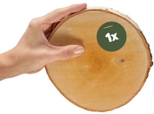 Holzscheibe in 16-18 cm Durchmesser für DIY Basteln und Dekorieren - 1 Stück runde Birkenholz Baumscheibe - Naturbelassene Holz Birkenscheibe als Holzdeko Holzplatten