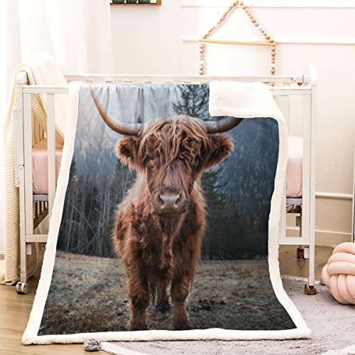 Kuscheldecke 150x200 Kühe 3D Schottisches Hochlandrind, Tier Warm Fleece-Decke Weich Flauschige Sherpa Wohndecke Microfaser Sofadecke Couchdecke Zweiseitige Decke Dekor Schlafzimmer Kollektion Winter