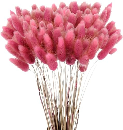 120 Stück Getrocknetes Pampasgras, Lagurus Getrocknet, Natürlicher Blumenstrauß, Trockenblumen Bodenvase, Künstlich Groß Deko