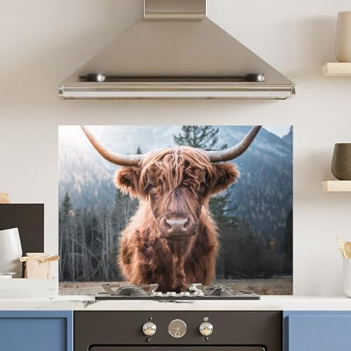 Premium (w)90cm x (h)65cm Highland Cow Glass 6mm Kitchen Splashback Heat Resistant Toughened Polished Edges - Back Splash Back Coloured Hob Painted Tempered Splashback
