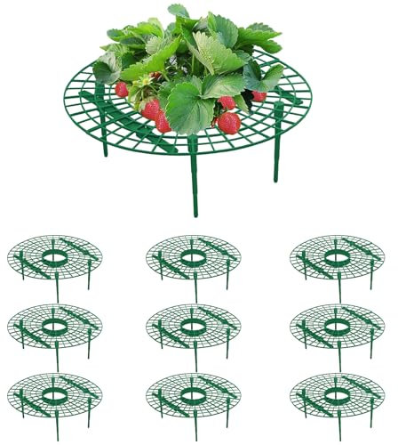 AONYIYI 10 Stück Orbicular Erdbeerreifer,Erdbeerstützen Ständer,Schneckenschutz Erdbeerstützen,Schneckenschutz und Schutz vor Fäulnis Schimmel