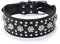 haoyueer Hundehalsband mit Strasssteinen, Blumenmuster, Leder, glitzernde Kristalldiamanten, schillernd, funkelnd, elegant, ausgefallen, PU-Leder, Hundehalsband für mittelgroße und große Hunde (L,
