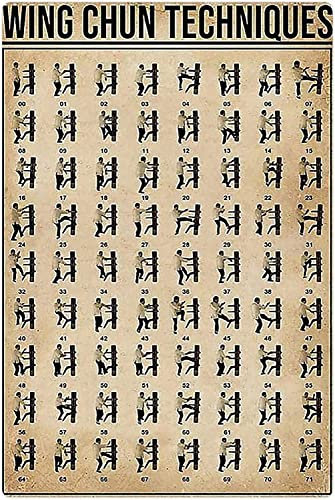 Wing Chun-Techniken, Metall-Blechschilder, Wing Chun Wissen, Wissenschaft, Poster, Leitfaden für Anfänger, Geschenktafeln, Zuhause, Kampfsport, Zimmer, Schlafzimmer, Wanddekoration, 20,3 x 30,5 cm