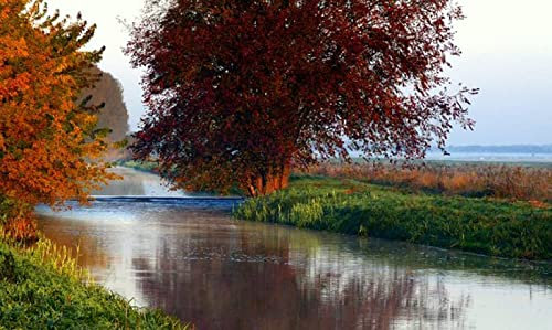 1500 Teile Puzzles für Erwachsene, schöner kleiner Fluss, bunte Puzzles für Kinder und Jugendliche ab 12 Jahren, pädagogisch schwierige Puzzlekunst für Männer und Frauen, 87 x 57 cm (34,25 x 22,44 Zo