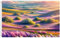 ShineSnow Lila Blumen Feld Flieder schöne Märchen Frühling Landschaft 90 x 150 cm Flagge Polyester doppelt genäht mit Messingösen 90 x 152 cm Flagge für drinnen und draußen