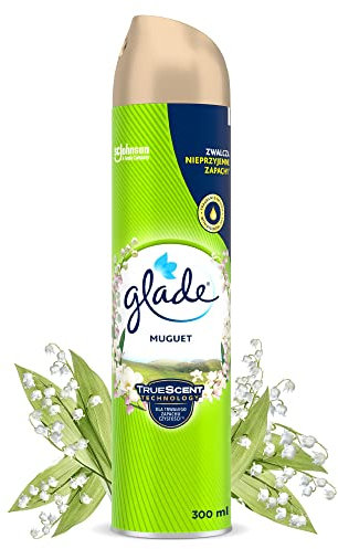C Brise areozol Maiglöckchen 300ml