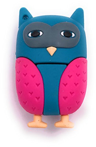 H-Customs Clé USB Clé USB Bleu Oiseau Hibou 8 Go 16 Go 32 Go USB 3.0/8 Go