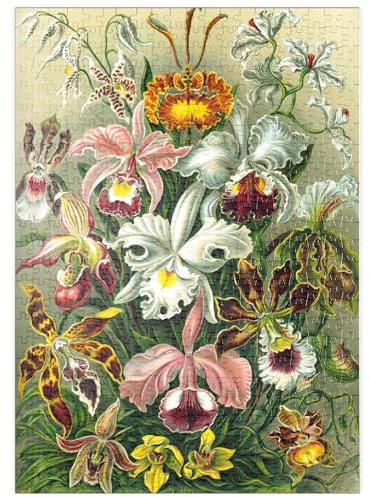 MyPuzzle Orchidee - Kunstformen der Natur, Vintage Art Poster, Ernst Haeckel - Premium 500 Teile Puzzle - MyPuzzle Sonderkollektion von Havana Puzzle Company