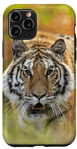 iPhone 11 Pro Siberian Tiger Case