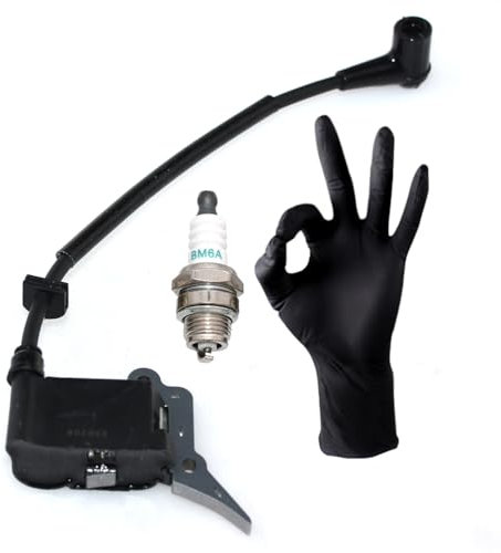 Bobina di accensione per Alpina C25 PR270 A2500 A305 A305C A350 P420 A400 A4000 A405 A3700 A375 C38 C41 BG4040 BG2525 CP37 CP37 37 5 CP37 40 EP4040CS MC3720 PS370 SP37 SP372 SP375 SP405 CP300 PR2510