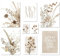 ARTFAVES® Poster Set - Beige Dried Flowers - mehrteilige Wanddeko Wohnzimmer & Schlafzimmer - 8 moderne Wandbilder beige, trockenblumen, blumen, boho, beige-braun - ohne Bilderrahmen