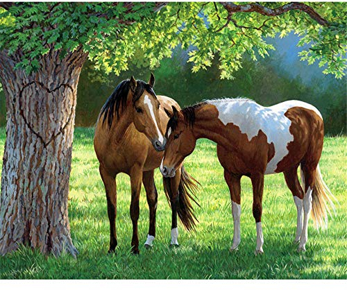 Puzzle 2000 Teile, Puzzle Erwachsene 2000 Teile, Zwei Pferde unter dem Baum Impossible Puzzle, Puzzle Kinder Mädchen, Geschicklichkeitsspiel für die ganze Familie, Puzzle Erwachsene 2000 Teile-39.17x