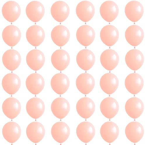 Luftballons Pastell Orange 10 Zoll,36Stück Macaron Orange Luftballons Helium Ballons,Latex Luftballon Partyballons für Geburtstag,Hochzeit,Geschlecht Offenbaren,Brautdusche,Babyparty Dekorationen