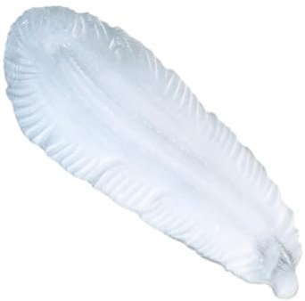 APLVFFZH Selenite Stone Bowl Selenite Tray Selenite Plate, Selenite Dish, Feather Shape for, Table, Yoga Home Decor