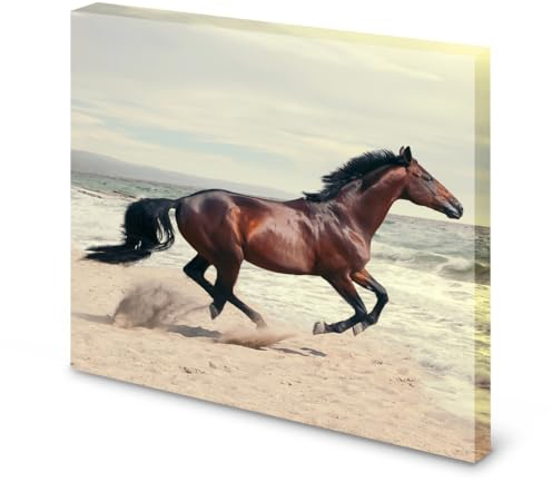 Magnettafel Pinnwand Bild Pferd Strand Meer Galopp gekantet Größe 60 x 60 cm