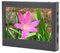 Mini Monitor, Small Touchscreen Monitor Touch Screen Monitor, VGA USB Port 1024x768 Small IPS Monitors for Industrial Control