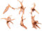 xbiez Aquarium sous-marin cachette naturelle maison bois décoration d'aquarium artisanat terrarium habitat ornement