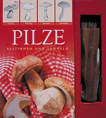 Pilze Boxset: Bestimmen und Sammeln