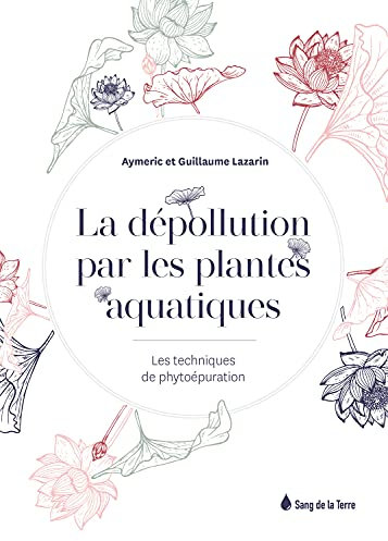 La dépollution par les plantes aquatiques - Les techniques de phytoépuration