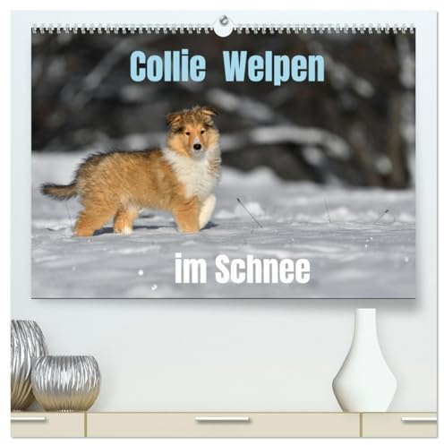 Collie Welpen im Schnee (hochwertiger Premium Wandkalender 2026 DIN A2 quer), Kunstdruck in Hochglanz: Tobende Collie Welpen im Winter (CALVENDO Tiere)