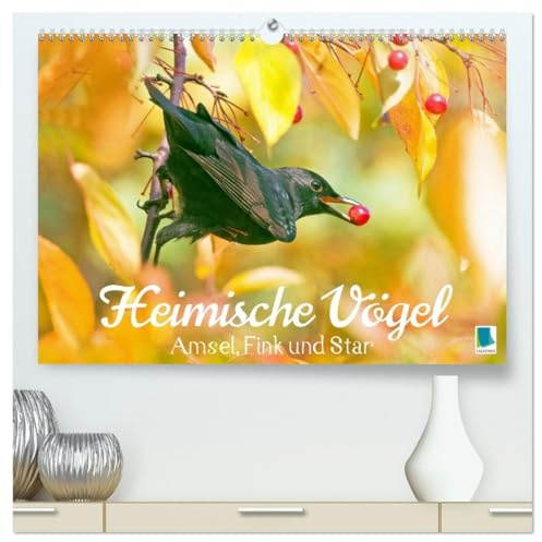 Amsel, Fink und Star: Heimische Vögel (hochwertiger Premium Wandkalender 2026 DIN A2 quer), Kunstdruck in Hochglanz: So vielfältig ist die heimische Vogelwelt (CALVENDO Tiere)