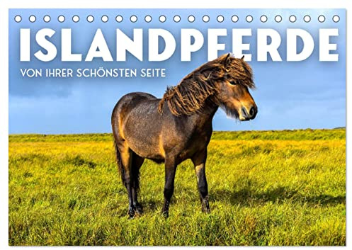 Islandpferde - Von ihrer schönsten Seite (Tischkalender 2026 DIN A5 quer), CALVENDO Monatskalender: Pure Eleganz in wilder Natur. (CALVENDO Tiere)