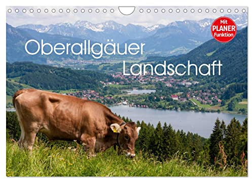 Oberallgäuer Landschaft (Wandkalender 2026 DIN A4 quer), CALVENDO Monatskalender: Die Landschaft des Oberallgäus zeigt eindrucksvoll alle Jahreszeiten ... ist immer eine Reise wert. (CALVENDO Natur)