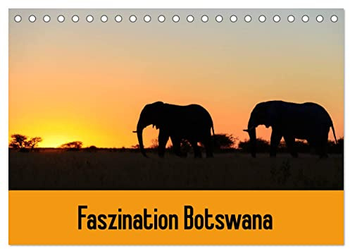 Faszination Botswana (Tischkalender 2026 DIN A5 quer), CALVENDO Monatskalender: Tiere und Landschaften in Botswana (CALVENDO Natur)