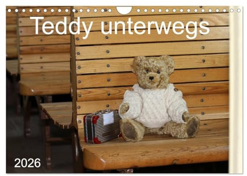 Teddy unterwegs (Wandkalender 2026 DIN A4 quer), CALVENDO Monatskalender: Ein Teddykalender für die ganze Familie (CALVENDO Spass)