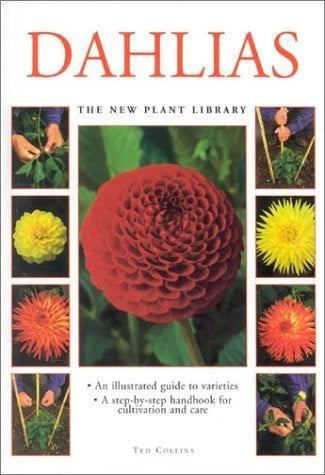 Dahlias (New Plant Library)