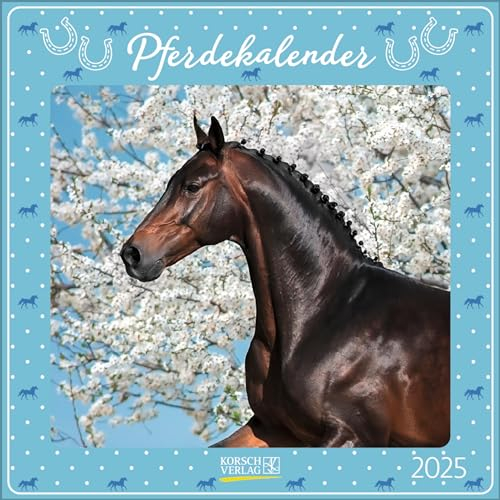 Pferdekalender 2025: Broschürenkalender mit Ferienterminen. Pferde und Ponys. 30 x 30 cm
